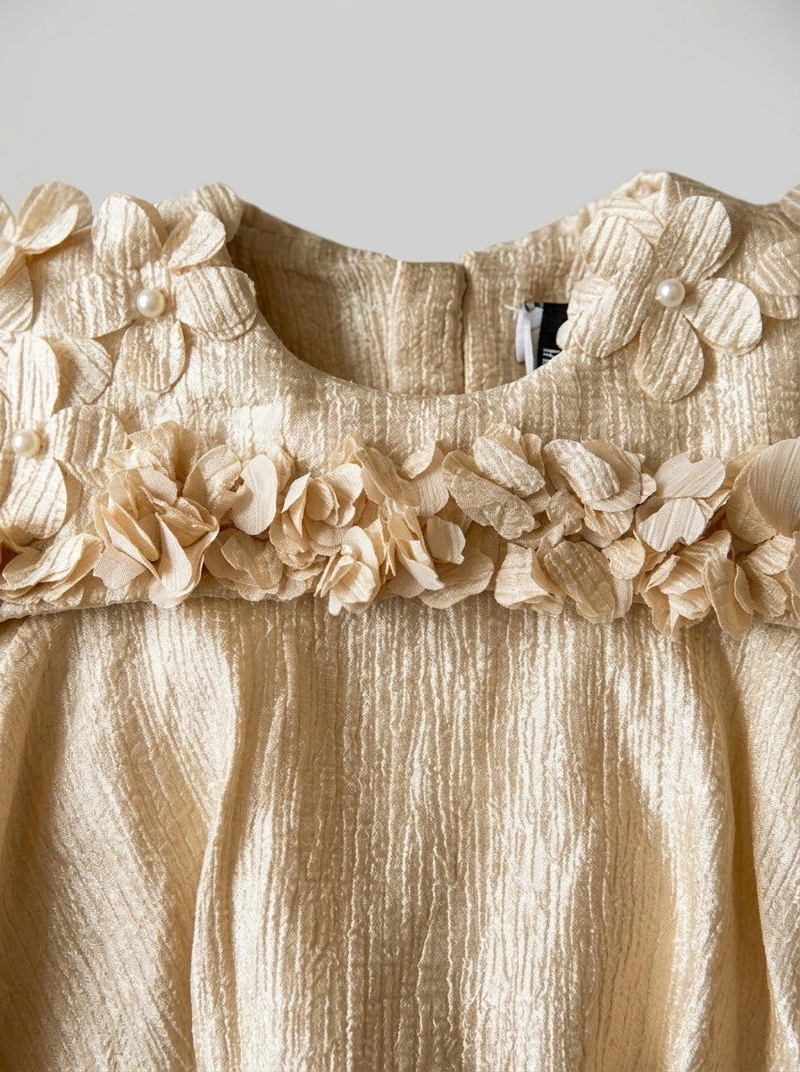 Ivory Gold Shimmer Dress with 3D Flower Appliques for Girls | Ages 2-3