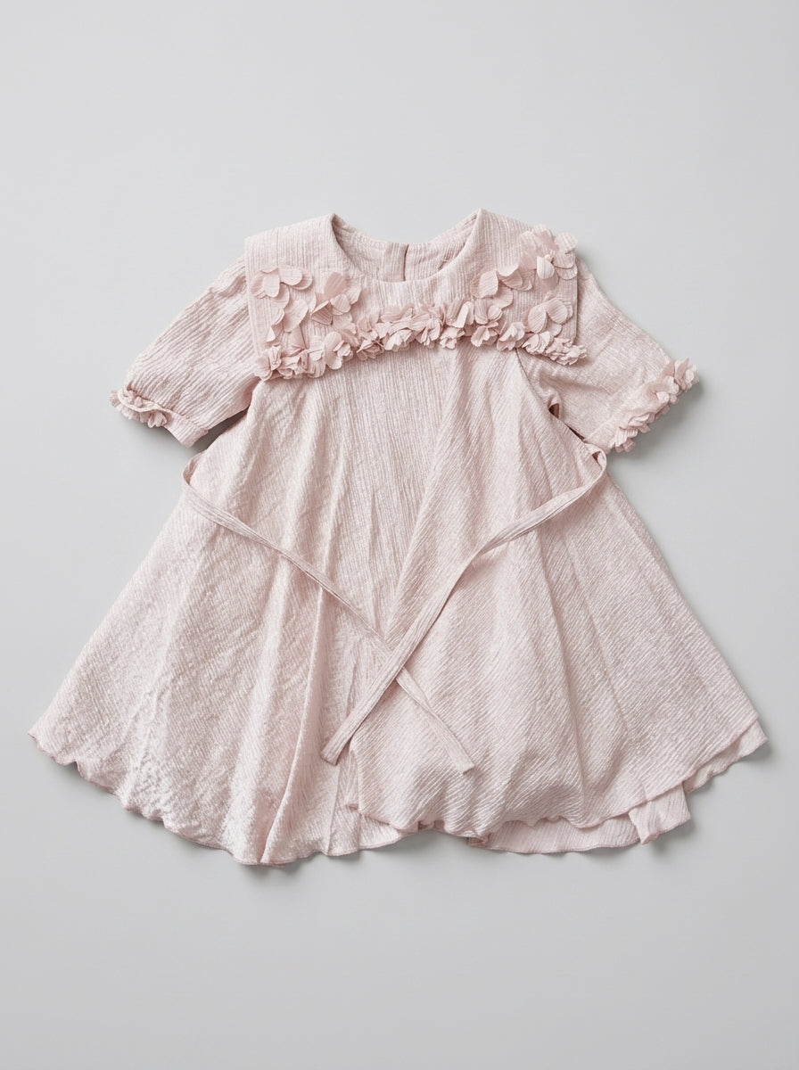 Blush Pink Shimmer Dress with 3D Flower Appliques for Girls | Ages 2-3